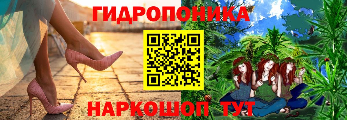 Бошки марихуана SATIVA & INDICA  Вход с VPN  Бошки Шишки VHQ  Канабис индика  Великие Луки  Бошки Шишки планчик 